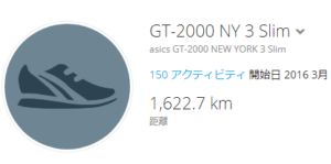 Ny3 300x149 - GT-2000 NEW YORK の “ 次”で悩む