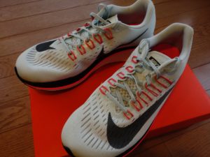 Nike ZF 001 300x225 - ようやく NIKE ZOOM FLY